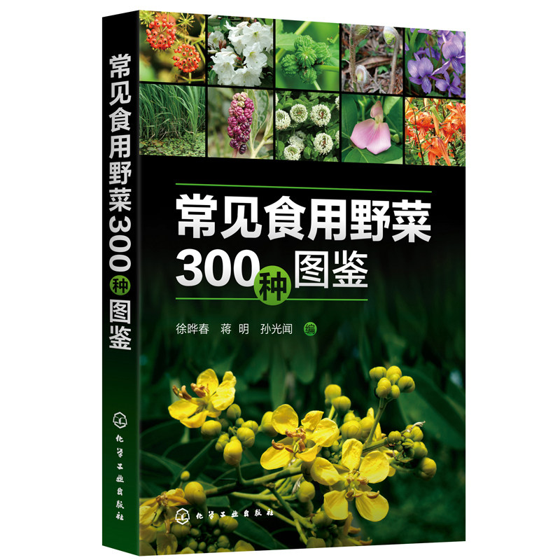 类食果类野菜名称科属分类识别特征鉴别技巧应用书 常见食用野菜1本通