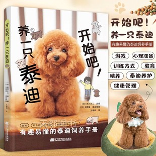 泰迪家养犬家庭犬训练游戏方法大全 王春梅译 西川文二著 开始吧 宠物狗狗泰迪饲养方法 养一只泰迪 泰迪日常养护饮食疾病护理习惯