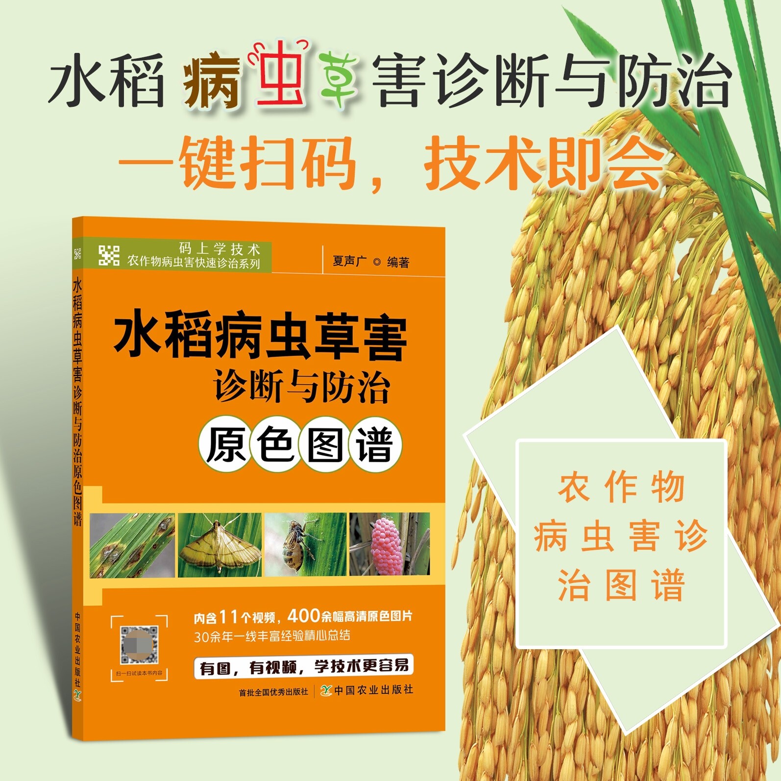 正版书籍 水稻病虫草害诊断与防治原色图谱 水稻种植水稻栽培技术水稻病虫草害诊断防治图谱 农作物病虫害快速诊治 中国农业出版社
