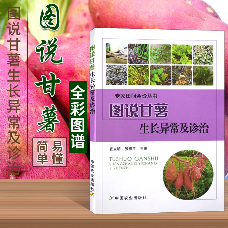 图说甘薯生长异常及诊治种菜书籍大全大棚蔬菜种植技术大全蔬菜种植书籍大全蔬菜病虫害防治蔬菜病虫害诊断与防治农业书籍