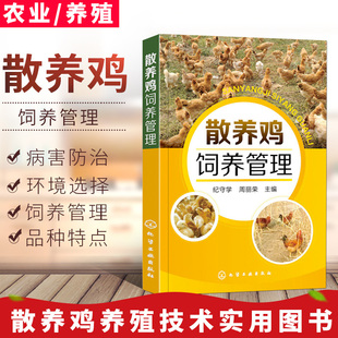 養雞技術書散養雞飼養管理養殖書籍大全散養土雞實用技術雞病快速診斷與治療雞舍建造雛雞選擇飼養管理常見雞病防治及安全用藥圖譜