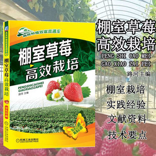 棚室草莓高效栽培 草莓设施栽培生产环节的管理方法书籍 大棚草莓栽培种植 常见病虫害防治 无公害有机草莓高效种植关键技术书籍