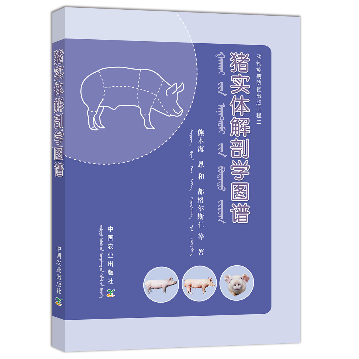 猪实体解剖学图谱 猪躯体各部位名称 猪被皮系统消化系统呼吸系统心