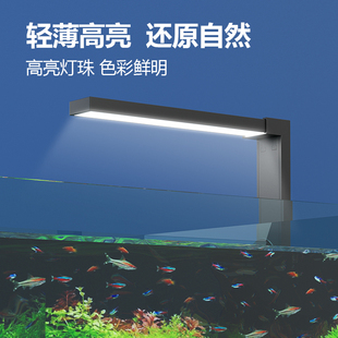 家用鱼缸LED灯防水超亮小鱼缸专用灯养鱼灯小型鱼缸照明灯水草灯