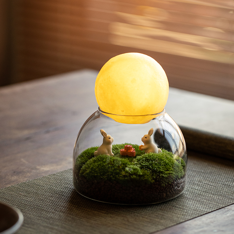 中秋佳节景观草坪盆栽花好月圆