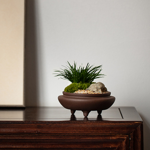 静艺花舍 菖蒲草盆栽桌面文人盆景植物茶几禅意室内观赏绿植摆件