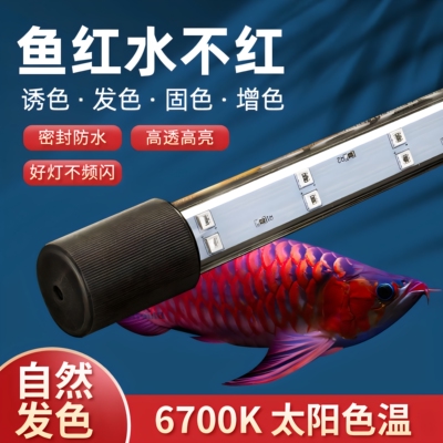 尼奥神灯二代雷龙鱼增艳潜水灯