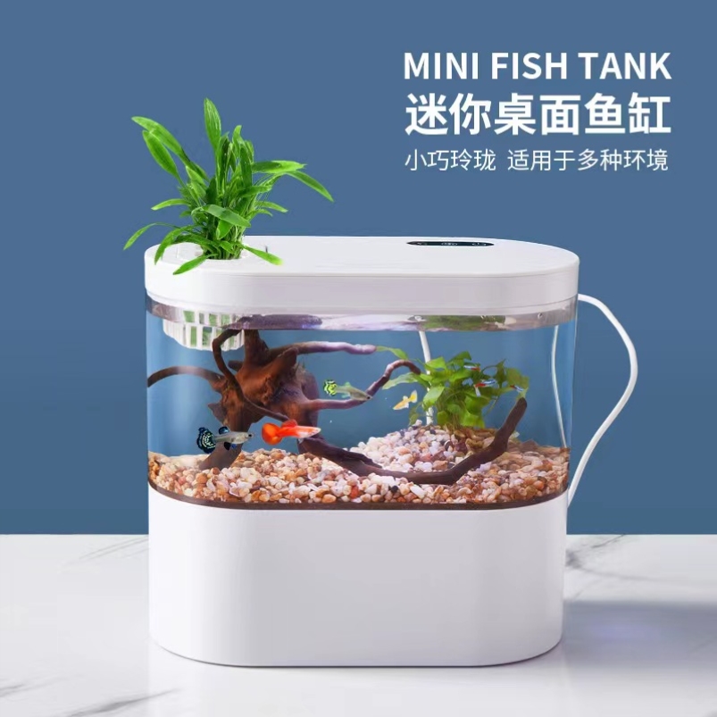 桌面造景底滤微景观斗鱼缸