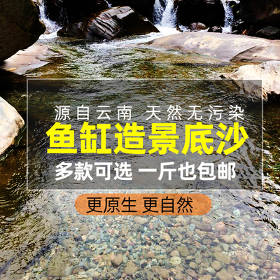 鱼缸底砂造景乌龟化妆沙雨林原生