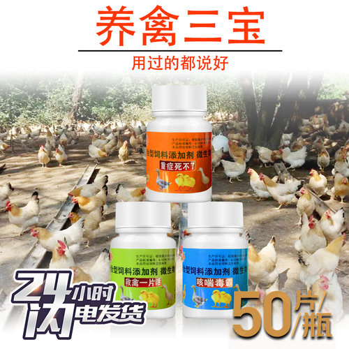 神威禽三宝鸡鸭鹅鹌鹑鸽子保健用