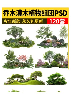 2026乔木灌木地被psd分层园林景观ps素材设计效果图后期植物组团