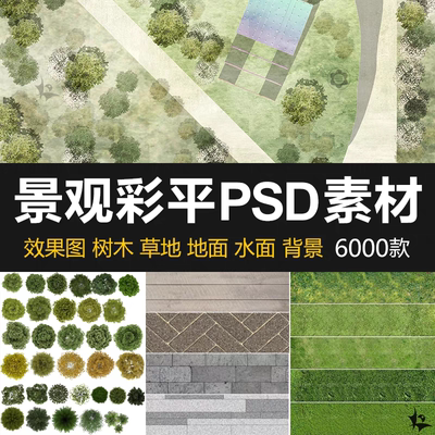 2025园林景观PS彩色总平面图案立面彩平图植物铺装psd草贴图素材