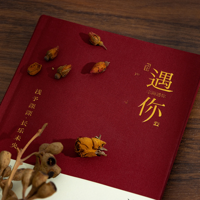 青禾纪浅予A5高颜值笔记本本子简约布面学生文艺日记本加厚记事本