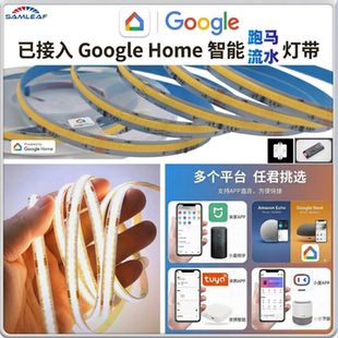Home智能幻彩追光流水音乐律动COB彩色RGB氛围灯带 已接入Google