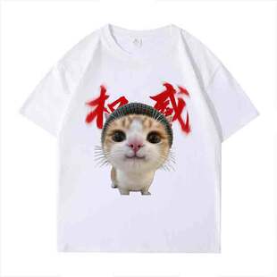 权威拳头小猫meme表情包短袖男T恤女夏季沙雕网红印花恶搞上衣潮T