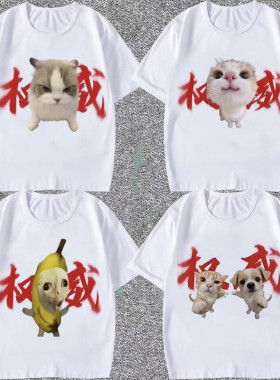 爆款权威短袖t恤男女搞怪meme猫T恤恶搞香蕉猫咪定制上衣服潮学生