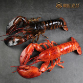 仿真海鲜模型澳洲大龙虾帝王蟹假菜螃蟹仔海参扇贝仿真菜品模型