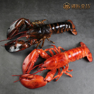 仿真海鲜模型澳洲大龙虾帝王蟹假菜螃蟹仔海参扇贝仿真菜品模型