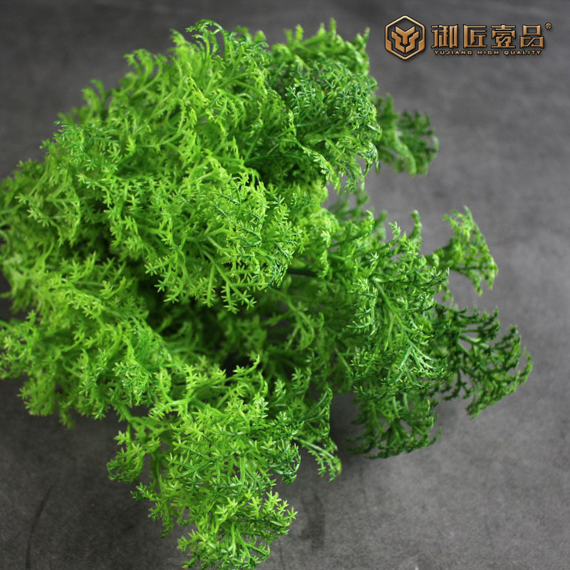 仿真生菜模型假香菜水果片法香假蔬菜果蔬模型绿菜水果摆件样板间