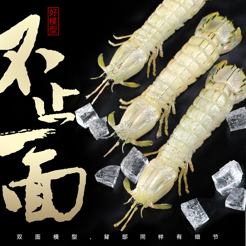 仿真皮皮虾模型食物螳螂摆件水产