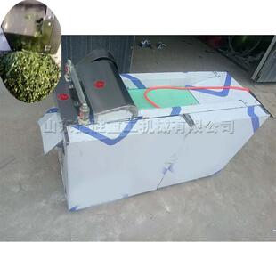 烟草行业材料切片切丝机根茎药材切段机步进送料西洋灵芝参切片机