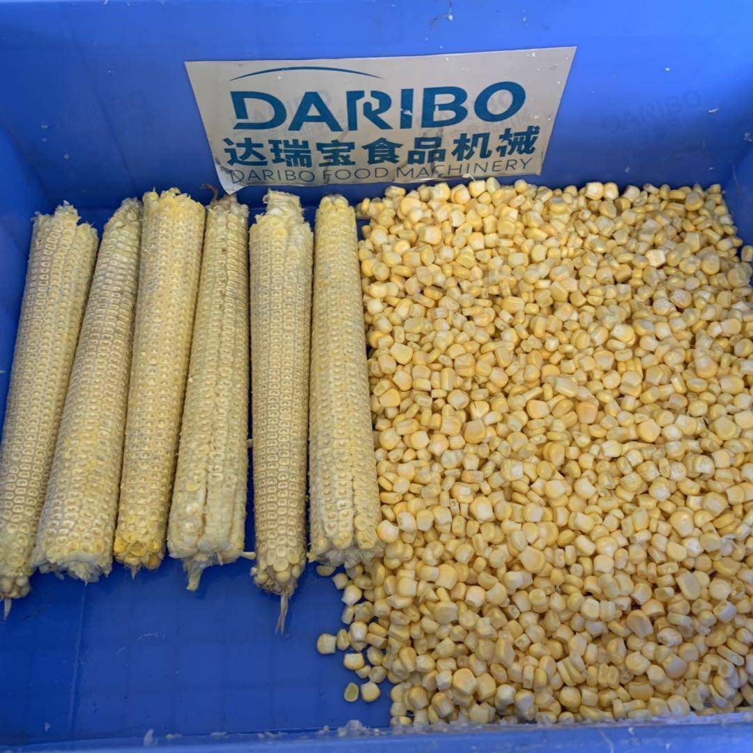 *不锈钢苞米自动脱粒机 甜玉米头剥粒设备 鱼饵玉米取粒机