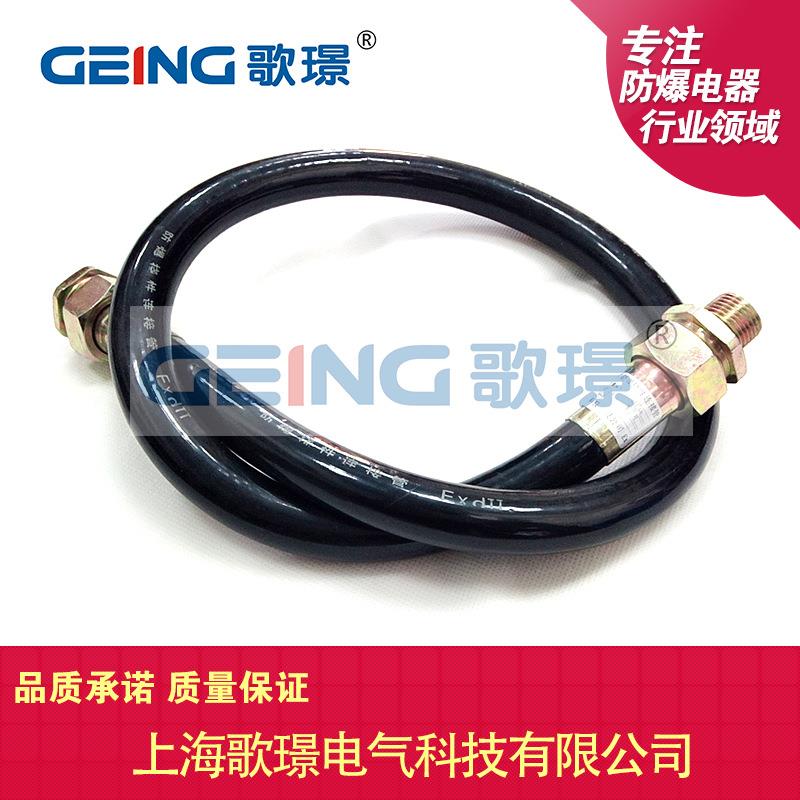 BNG防爆挠性连接管6分扰性穿线管4分NDG软管绕行柔性