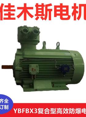 YBFBX3 YBFBX4 YBFBX5高效节能型复合型防爆电机双防爆电机