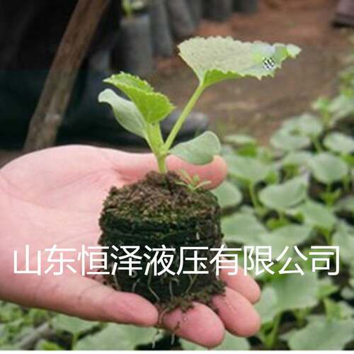 200吨营养基质成型机 牛粪育苗块油压机 营养快成型液压机