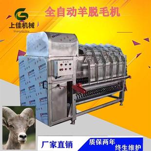 厂家供应整羊刨毛机羊脱毛机器全自动带捞耙可配电烫毛池