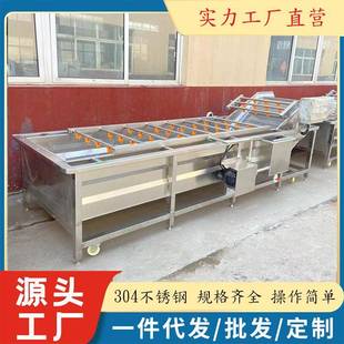 现货供应金耳清洗机 杏鲍菇气泡清洗设备 全自动猴头菇加工线