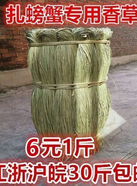 马莲草扎螃蟹香草绳子绑大闸蟹