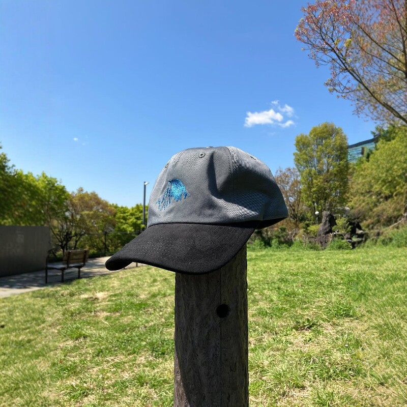 TNF Field Graphic Cap 26SS 北面紫标麂皮拼接刺绣LOGO鸭舌帽
