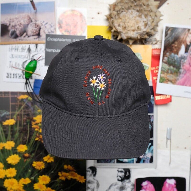 GoldwinCactusStore鸭舌帽