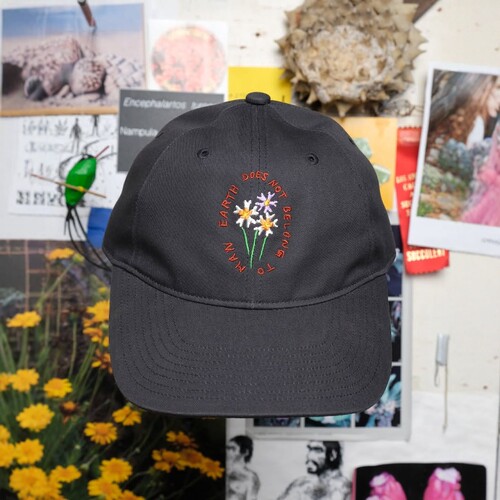 GoldwinCactusStore鸭舌帽