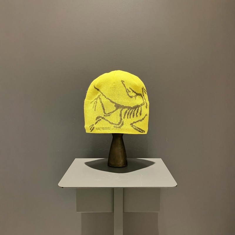 ARC’TERYXBEAMS限定羊毛冷帽