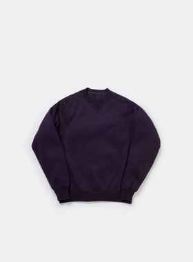 DAIWA PIER39 TECH SWEAT CREW FREEDOM 25AW 内里加绒圆领卫衣