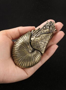 史前海洋生物巨型鹦鹉螺黄铜摆件霸气复古做旧工艺品实心铜装饰品