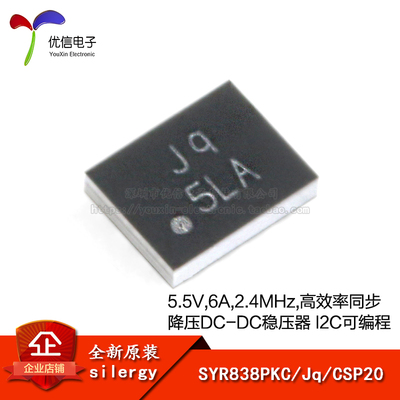 原装正品SYR838PKCCSP20芯片