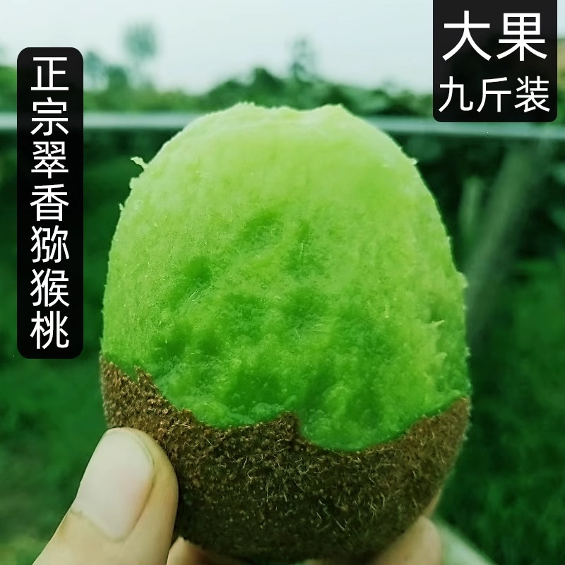 翠香猕猴桃周至整箱10斤