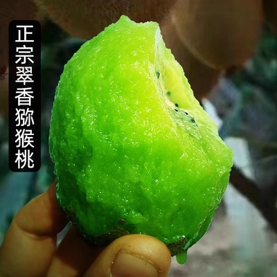 陕西周至翠香猕猴桃大果超甜