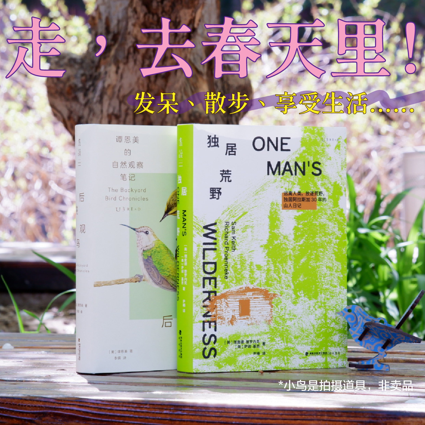 独居荒野 一个人的荒野史诗，30年阿拉斯加生活实录，200余本日志精华+60余张珍贵荒野照片，记录四季变迁、建造日常、动物邻居等