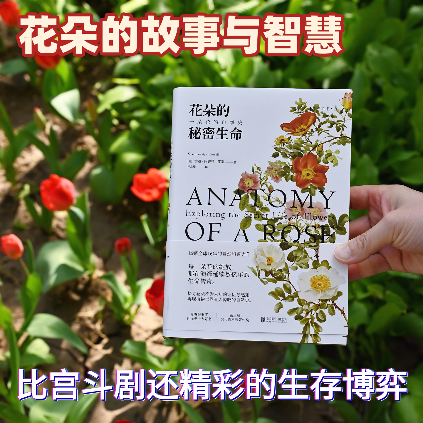 花朵的秘密生命 国内知名科普作家李淼倾情推荐 一本以花朵为主题的自然科普读物 描绘了花朵不为人知的生存与演化 未读出品