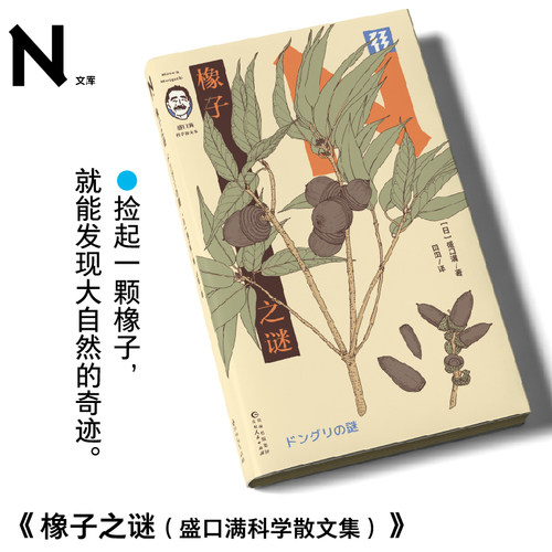 轻读文库第三季 橡子之谜：盛口满科学散文集 轻读N文库 | 捡起一颗橡子，就能发现大自然的奇迹 博物学入门 自然科普 手绘插图