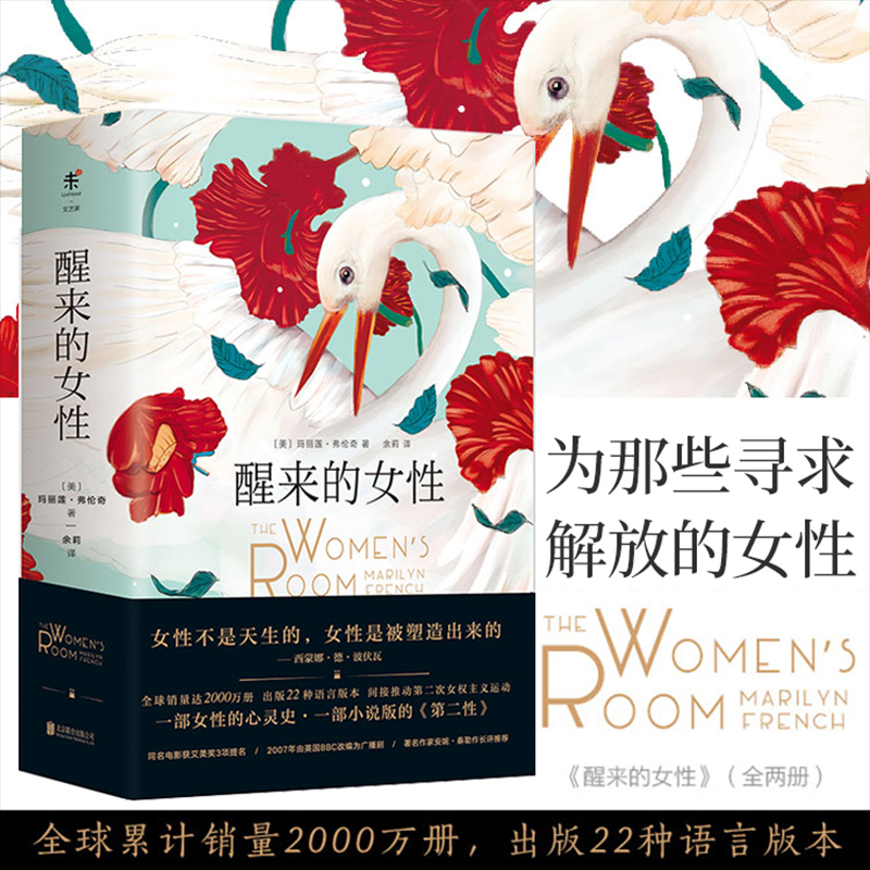 一部小说版的《第二性》