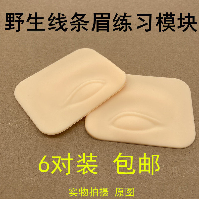 6装半永久纹眉练习模块野生线条