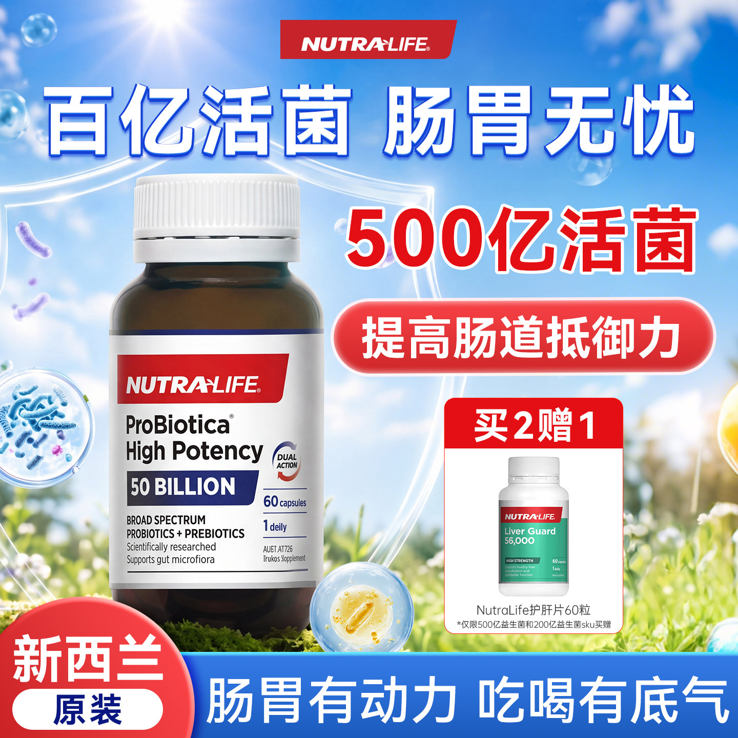 Nutralife纽乐500亿强效益生菌胶囊60粒成人呵护肠胃新西兰临期 - 实物图