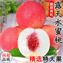 5斤新鲜水果现货整箱孕妇脆桃毛桃冬桃子 水蜜桃当季