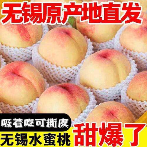 新鲜露天水蜜桃当季现摘毛桃子时令水果脆甜春雪蜜桃大果孕妇整箱