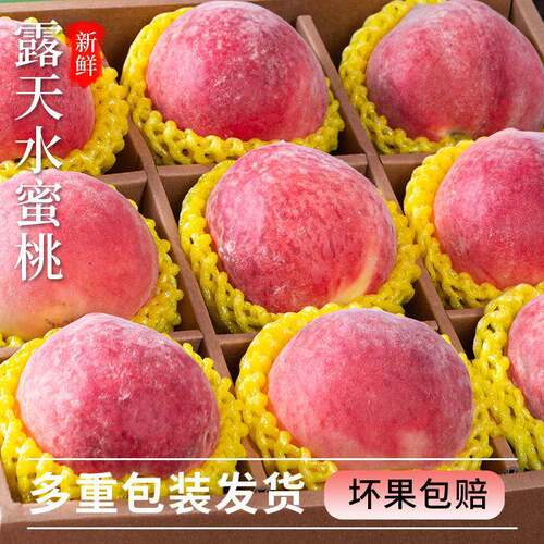 露天水蜜桃5斤水果新鲜当季脆甜大桃子毛桃应季超甜